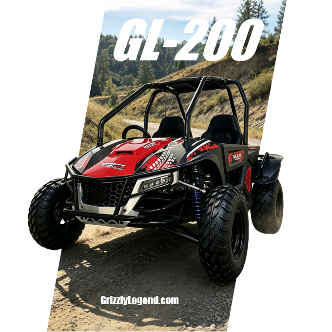 200cc off-road go-kart 250cc dune buggy China Factory